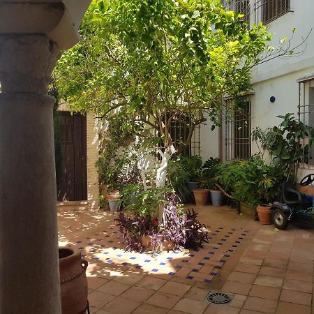 קורדובה Casa Patio Los Suenos De Daury II מראה חיצוני תמונה